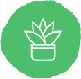 同城綠植速達(dá)