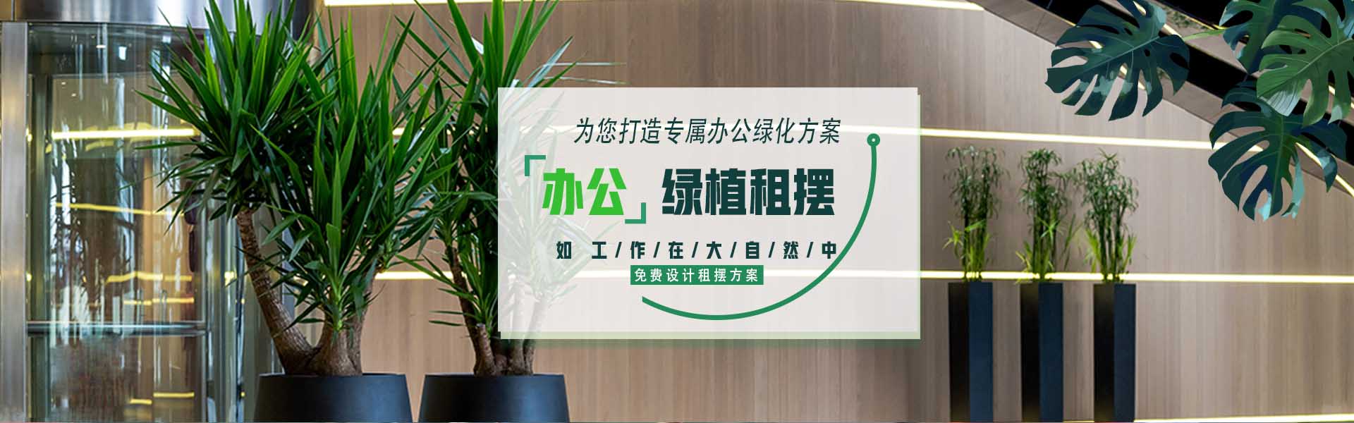首頁(yè)幻燈2