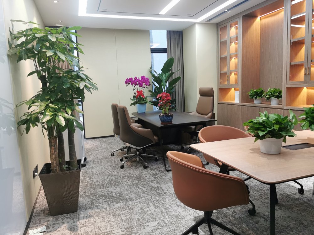 蜂巢能源科技辦公綠植租擺