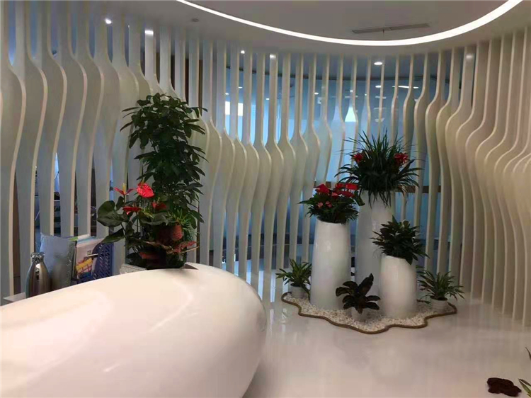 圣奧辦公家具綠植租賃